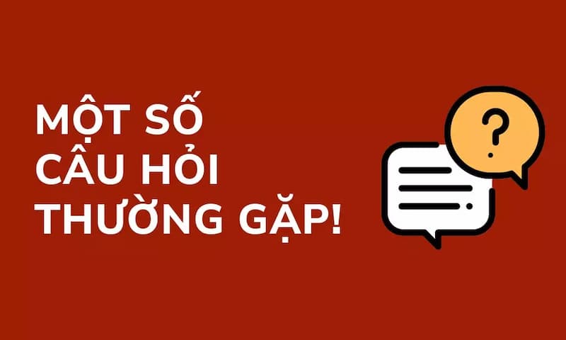 Các câu hỏi này cung cấp những thông tin quan trọng